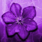 Donna Thackston's photo