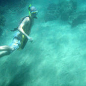 Josh Sommerss foto