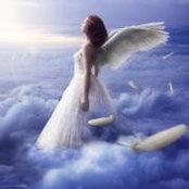 Diane Alcarez's photo