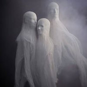 Chrissy Cuffari's photo