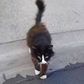 Venetta Callihan's photo