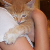 Penelope Sandargs foto