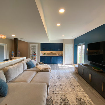 Basement Remodel