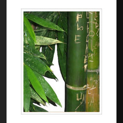 Bamboo 2 - Fine Art Prints