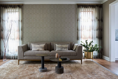 Trendy living room photo in Chicago