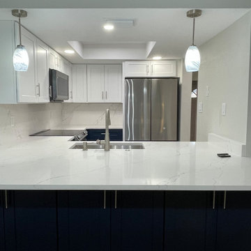 Full Condo Reconstruction - Central
