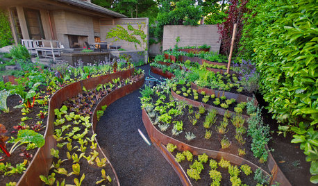 Insolite : 12 potagers donnent envie de voir la vie en vert