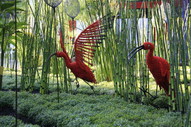 Jardin Jardin Tuileries 2011 - Jardin des Ibis rouges