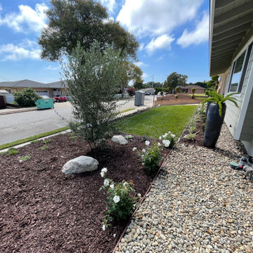 New landscaping , drought tolerant plants ,drip and decorative pots