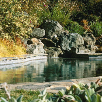 Pools & Spas