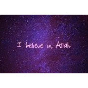 Nadine El Gendy's photo