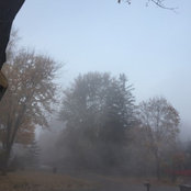 Tazz1024s foto