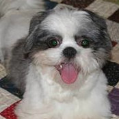 Teri Hillis's photo