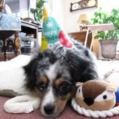 Margot Messenger's photo