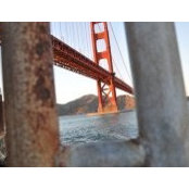 Roxanne Panicacci's photo