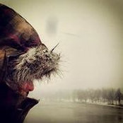 Melissa Widzinski's photo