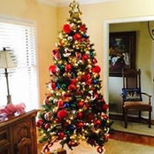Amanda Brown's photo