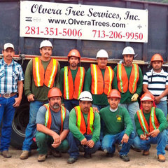 Olvera Tree Service, Inc.