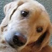 Sally Luebke's photo