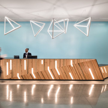 Transbay Terminal Douglas Fir