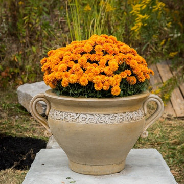 Athena Garden Gallery