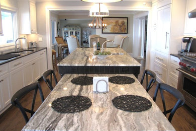 Kitchen - transitional kitchen idea in New York