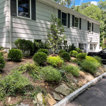 Darien - Shade Garden Enhancements