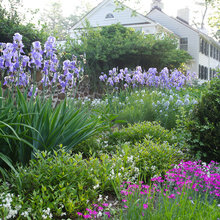Landscape Ideas