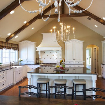 Kitchen Remodeling in Western Springs