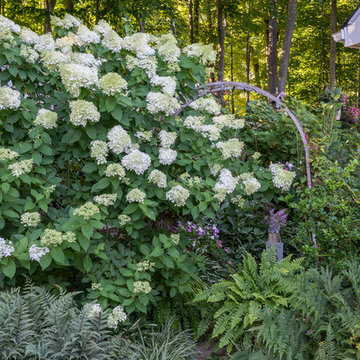 Small space- Big Impact Garden