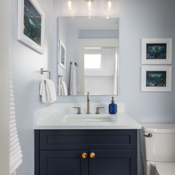 Downtown Ann Arbor Whole Home Remodel & Addition