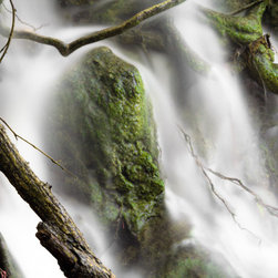 Dragon in the Mist - Photographs