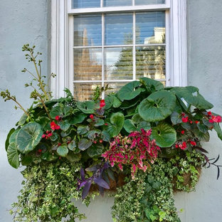 Eklektischer Garten in Charlotte