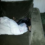 Sharon Benamou's photo
