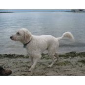 Diane Herczeg's photo