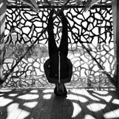 Aziz Khalil's photo