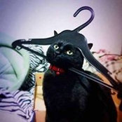 Dan Atkinson's photo