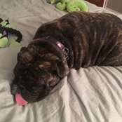 Robyn Capz's photo