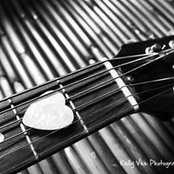 Tisha Voge's photo