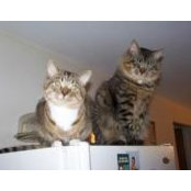 Eloise Shanley's photo