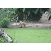 Linda Carter's photo
