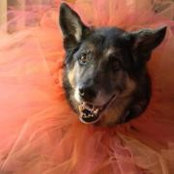 Cynthia Brunick's photo