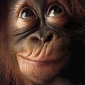 David Brown's photo