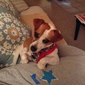 Trina Lyons's photo