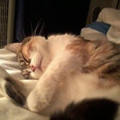Mary Crego's photo