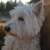 Maureen Gunning's photo