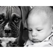Melissa Flaget's photo