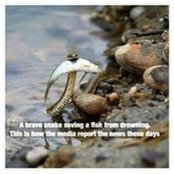 Sakera Johnson's photo