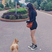 Thu Hồng Lês foto