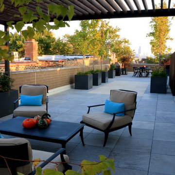 Contemporary Lakeview Roof Deck